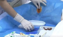 用力插视频,挑战极限！揭秘用力插视频背后的惊人真相